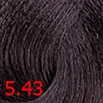 краска для волос TNL Million Glow Private Collection 5.43 Светлый коричневый медный золотистый TNL Million Glow Private Collection 5.43 Светлый коричневый медный золотистый